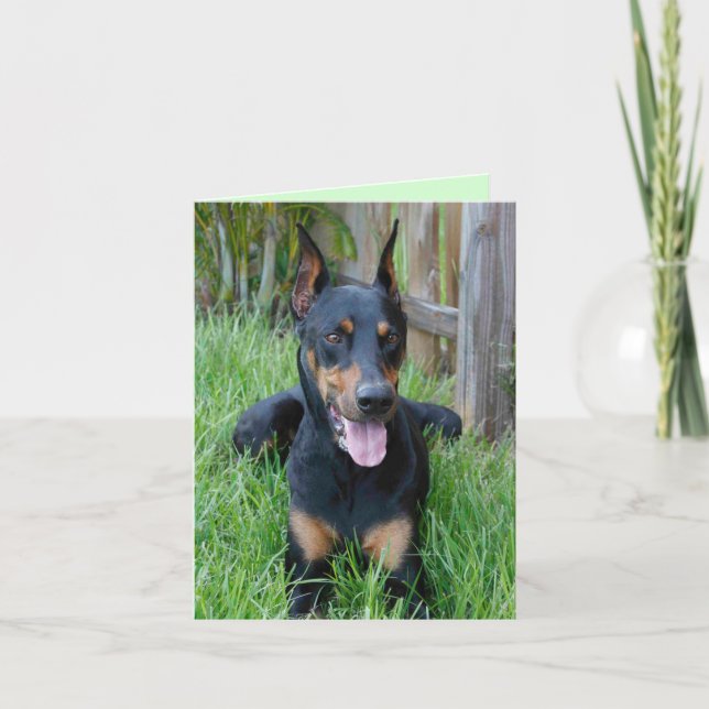 Doberman Pinscher Puppy Dog Blank Note Card (Front)