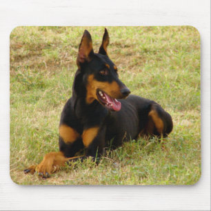 Doberman Pinscher Puppy Dog Mousepad