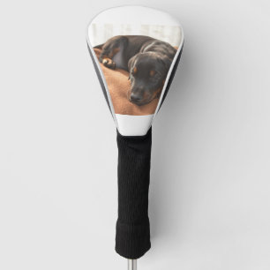 doberman-pinscher-puppy golf head cover