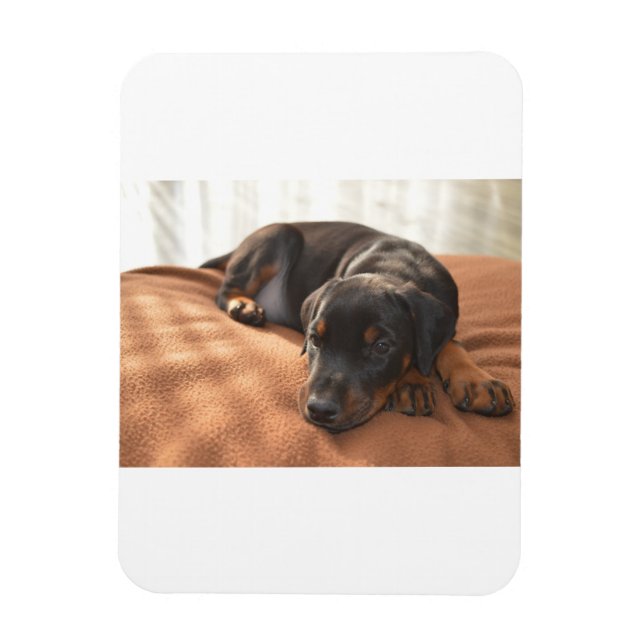 doberman-pinscher-puppy magnet (Vertical)