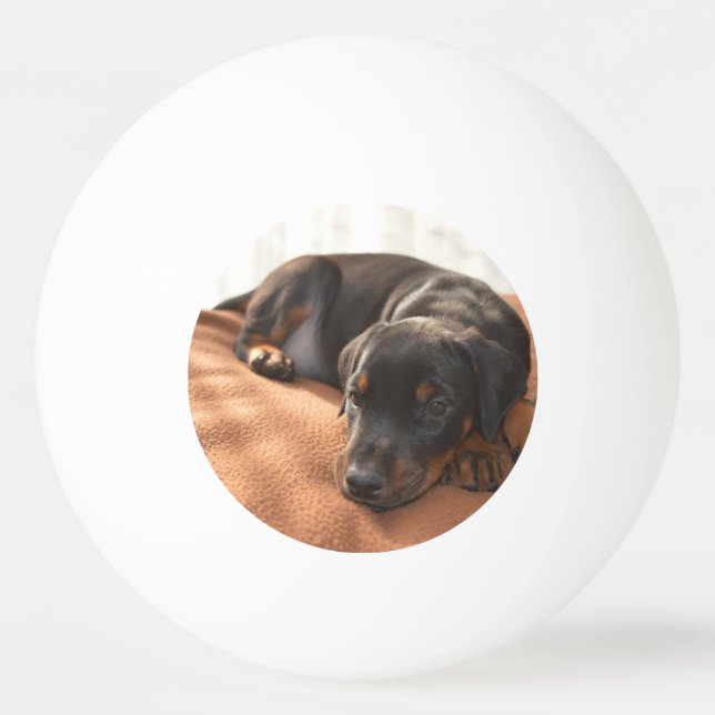 doberman-pinscher-puppy ping pong ball (Front)