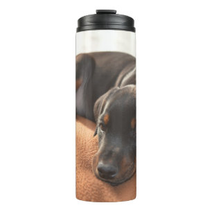 doberman-pinscher-puppy thermal tumbler