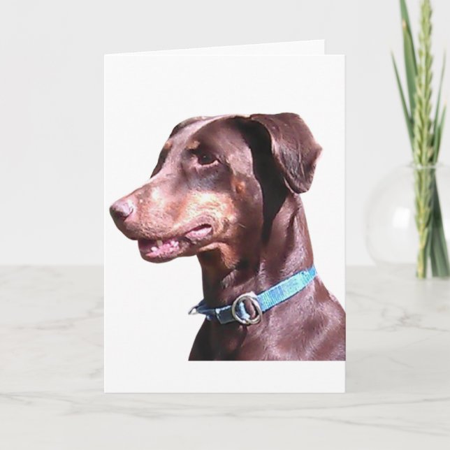 Doberman Pinscher Red Card (Front)