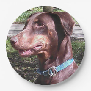 Doberman Pinscher Red Paper Plate