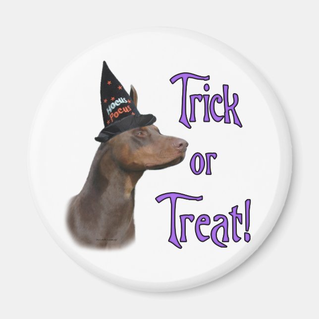 Doberman Pinscher (red) Trick Magnet (Front)