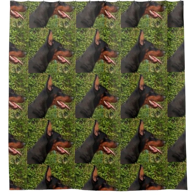 doberman pinscher shower curtain (Front)