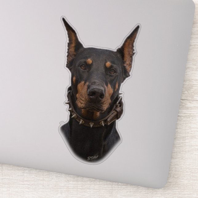 Doberman Pinscher   Sticker (Detail)