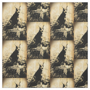 Doberman Pinscher Vintage Old Photo Fabric