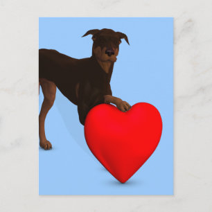 Doberman Pinscher With Heart Postcard