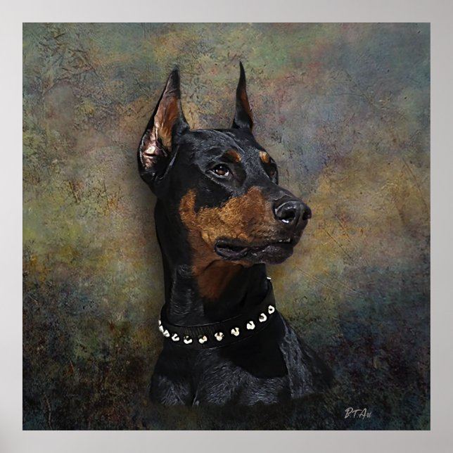 Doberman   poster (Front)