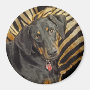 Doberman Pound Puppy Magnet