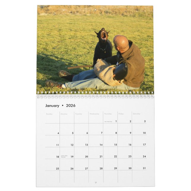 Doberman Protection calendar (Jan 2026)