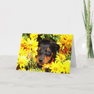 Doberman puppy greeting card