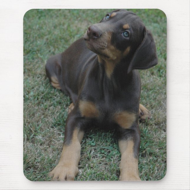 Doberman Puppy mousepad (Front)