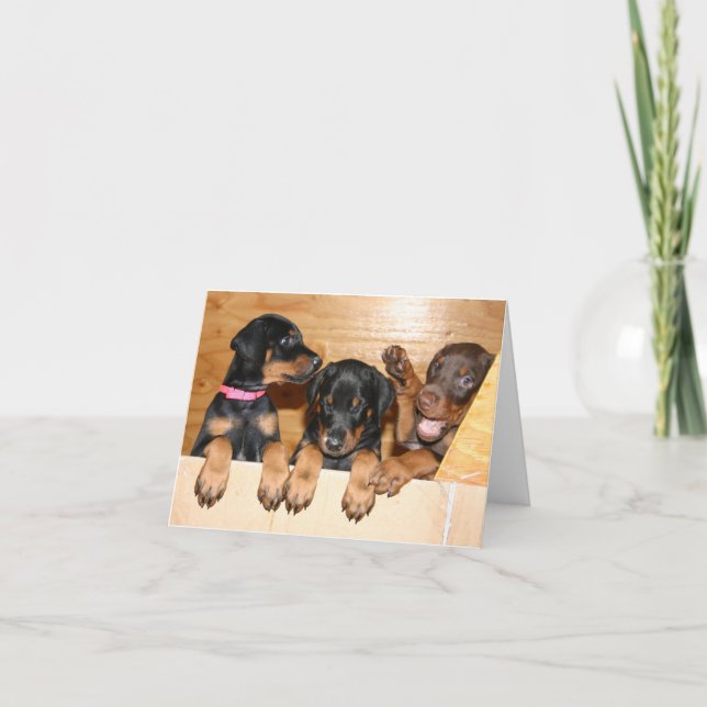 Doberman Puppy Note Card (Front)