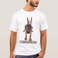 Doberman