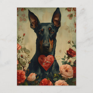 Doberman vintage Valentine's Day Postcard