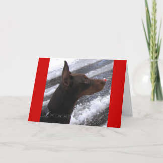Doberman with Red Nose Holiday Card