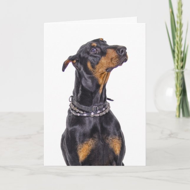 Doberman With Sneaky Look Who Me? Card (Front)