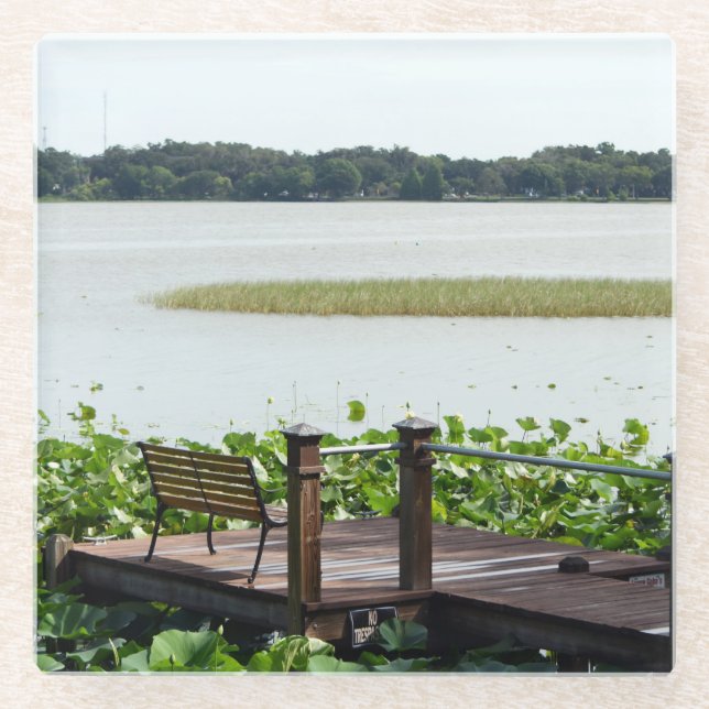 Dock on Lake Hollingsworth  Glass Coaster (Front)
