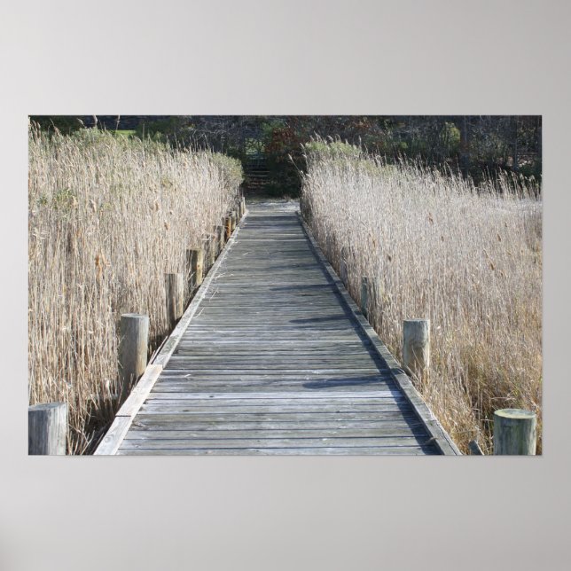 Dock Poster (Front)