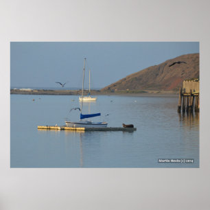 Dock Seal Wakes Poster