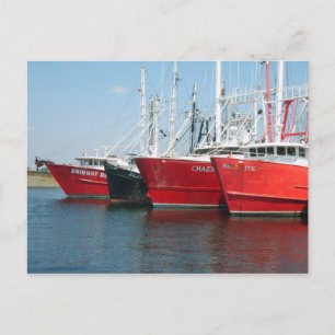 Docked Fishing Vessels Postcard