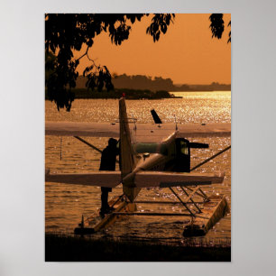 Docking 206 poster