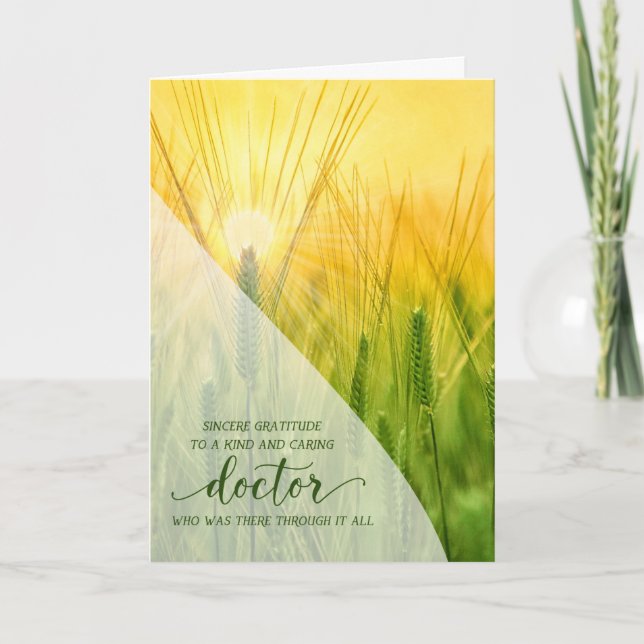 Doctor Summer Grasses Sunlit Nature Thank You Card (Front)