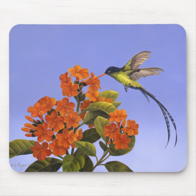 Doctorbird - National bird of Jamaica Mouse Pad (Front)