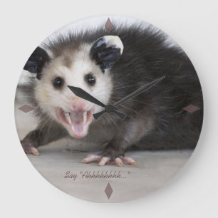 doctors office funny opossum photo wall clock