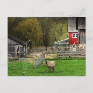 Dodge Nature Centre Postcard