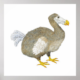 Dodo Bird Art Poster