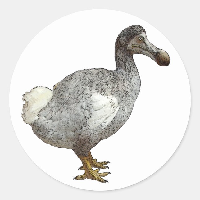 Dodo Bird Stickers (Front)
