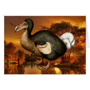 Dodo Card