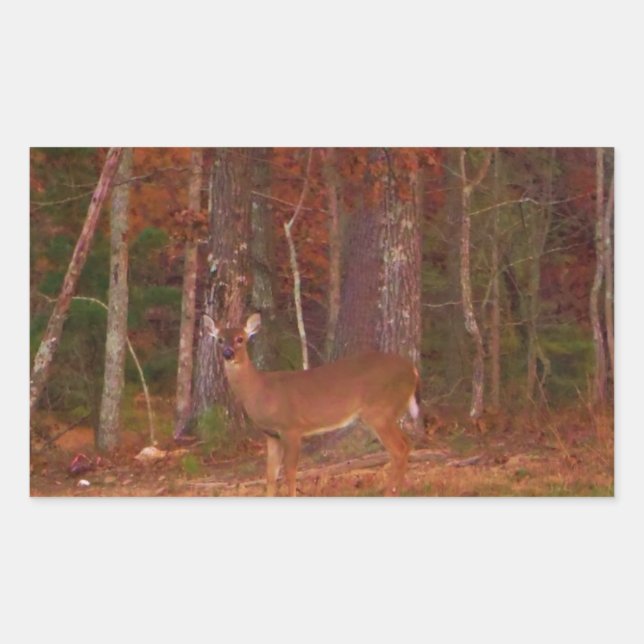 Doe a Deer in Lake Arrowhead Rectangular Sticker (Front)