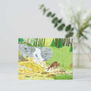 Doe and Fawn Postcard