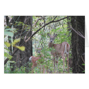 Doe and Her Fawn