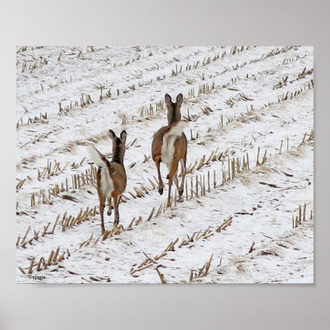 Doe and Yearling in a Snowy Cornfield II Poster (Front)