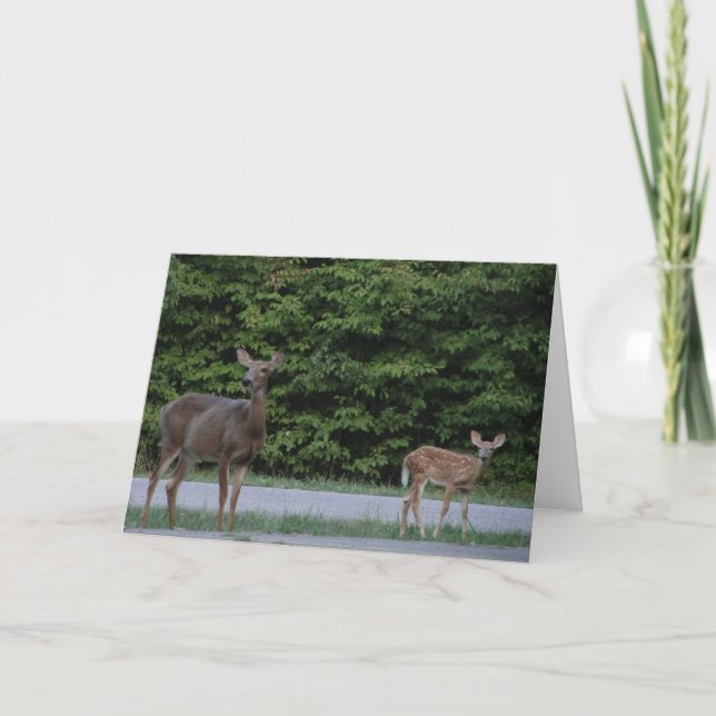 Doe & Fawn Card (Front)