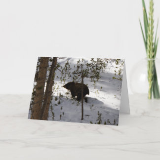 Does A Bear...Card Card