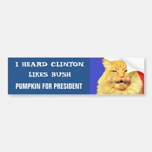Does Clinton Like Bush? Bumper Sticker