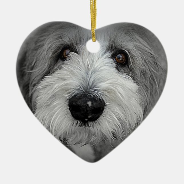 Does I Know You? Ceramic Tree Decoration (Front)