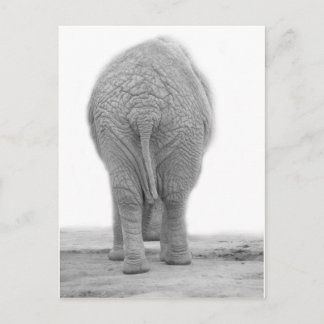 Does my bum look big postcard