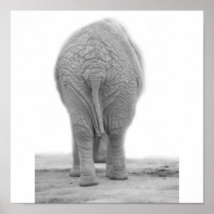 Does my bum look big poster