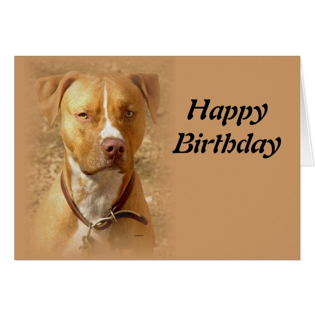 dog (Front Horizontal)