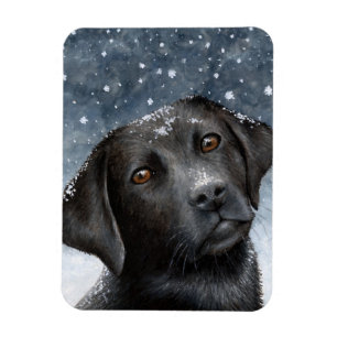 Dog 100 black Labrador Photo magnet