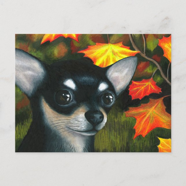 Dog 101 black Chihuahua Postcard (Front)