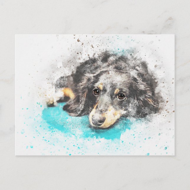 dog-2719601_1920 postcard (Front)