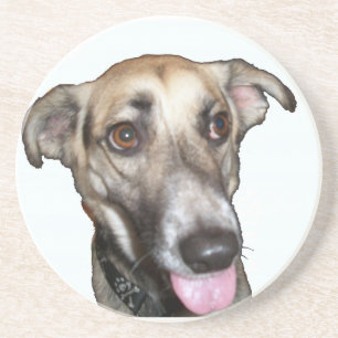 Dog 2 Coaster